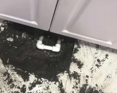 驻马店市查漏水哪家好